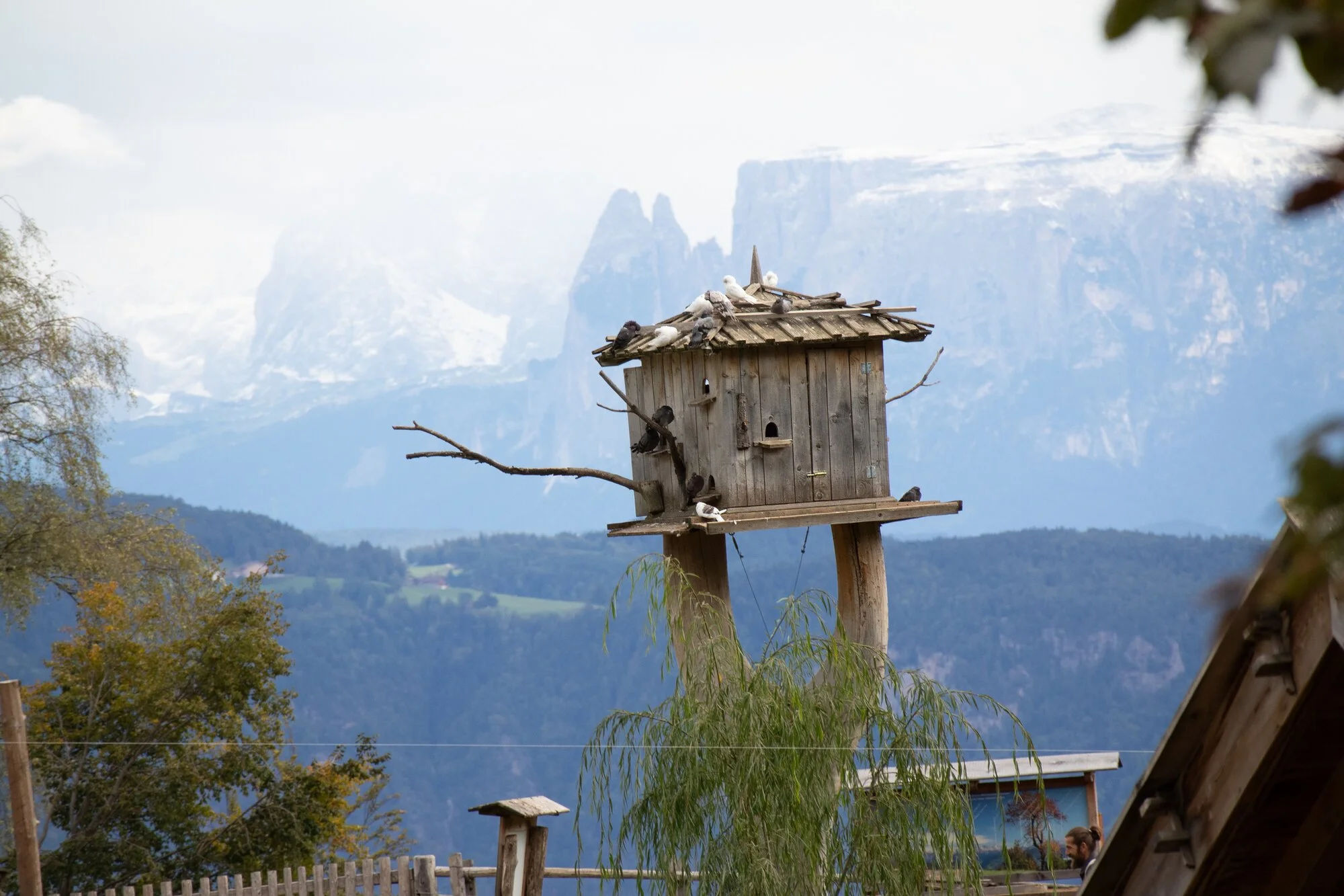 Authentisches Motiv aus Landschaft, Kultur oder Alltag in Südtirol — fotografiert von Marco Bonatta.