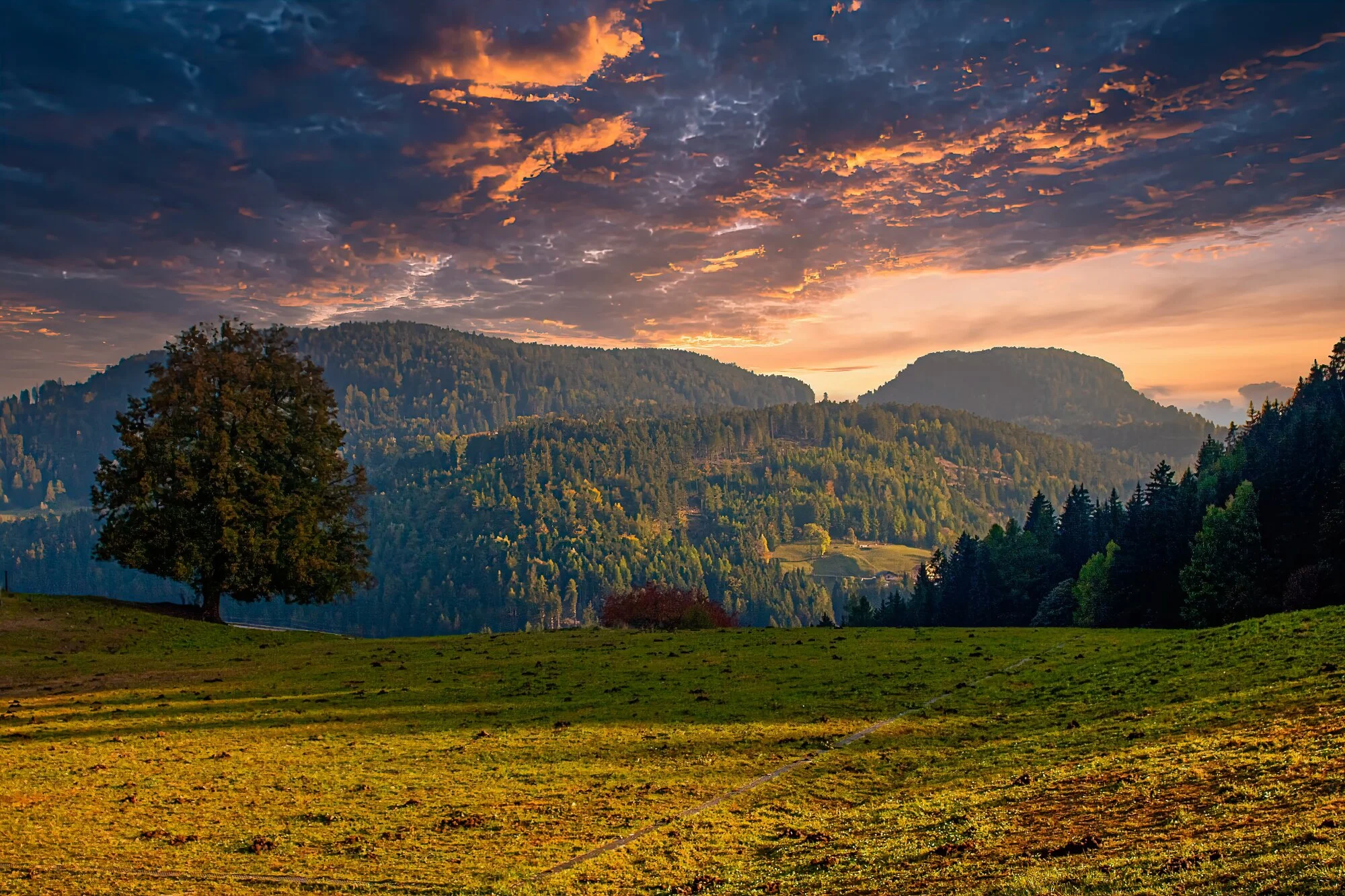 Authentisches Motiv aus Landschaft, Kultur oder Alltag in Südtirol — fotografiert von Marco Bonatta.