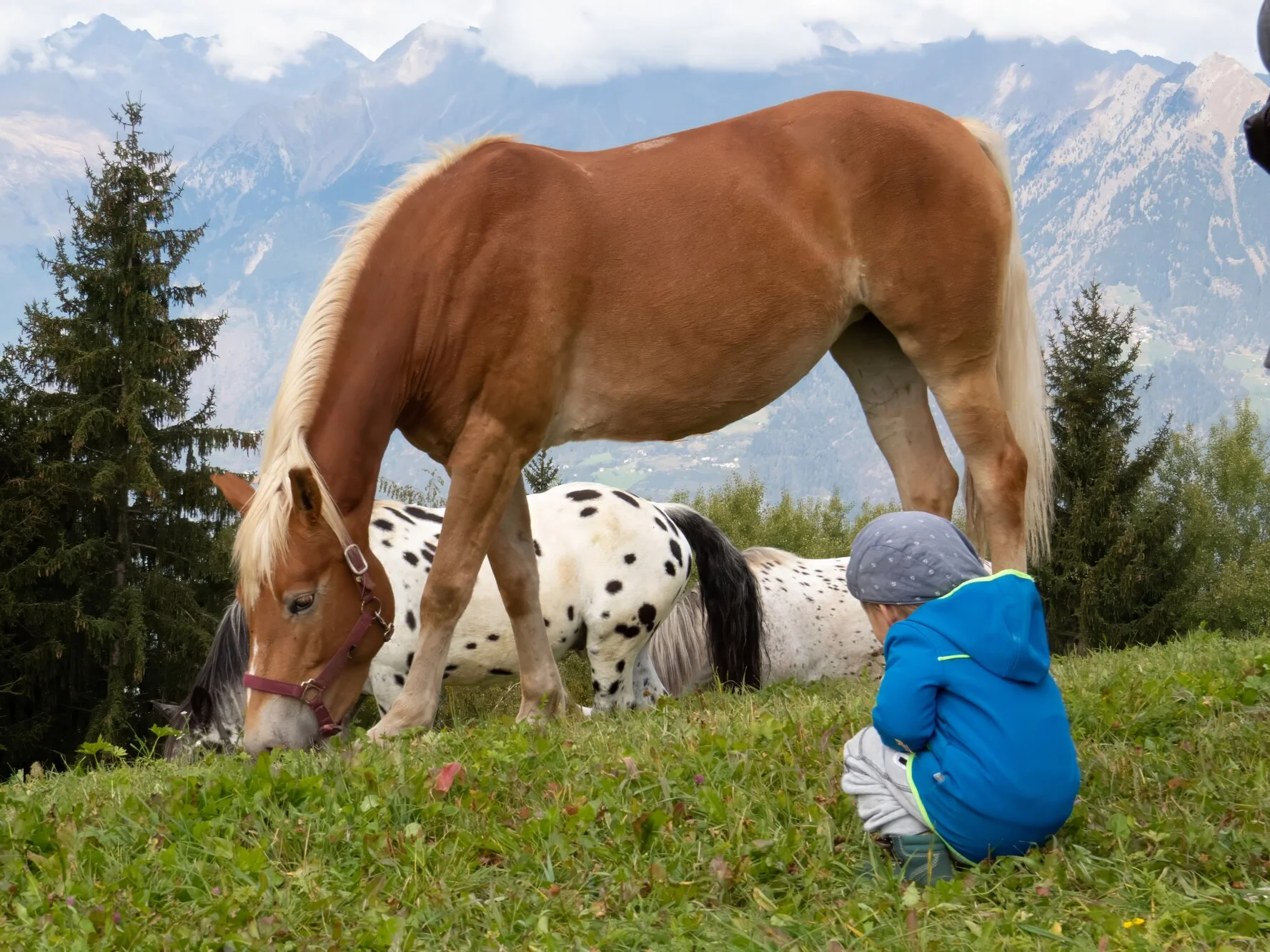 Authentisches Motiv aus Landschaft, Kultur oder Alltag in Südtirol — fotografiert von Marco Bonatta.