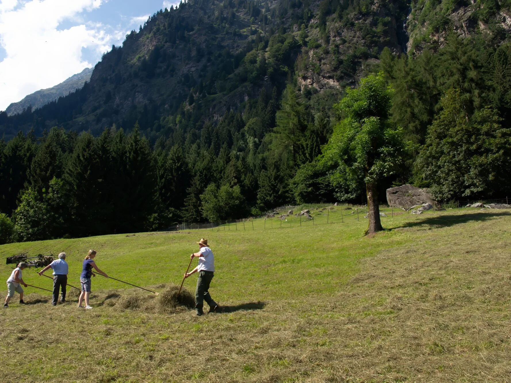 Authentisches Motiv aus Landschaft, Kultur oder Alltag in Südtirol — fotografiert von Marco Bonatta.