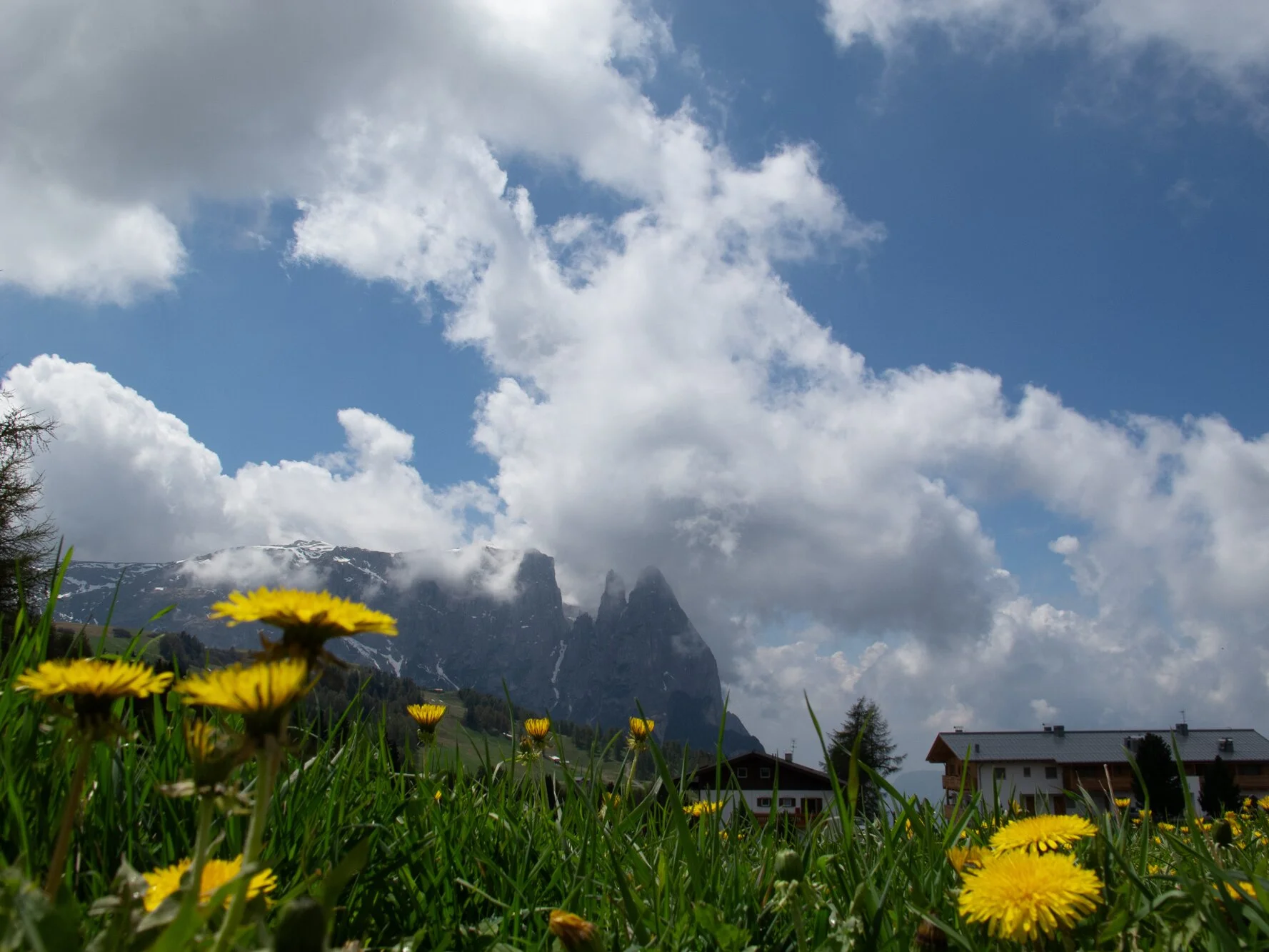 Authentisches Motiv aus Landschaft, Kultur oder Alltag in Südtirol — fotografiert von Marco Bonatta.