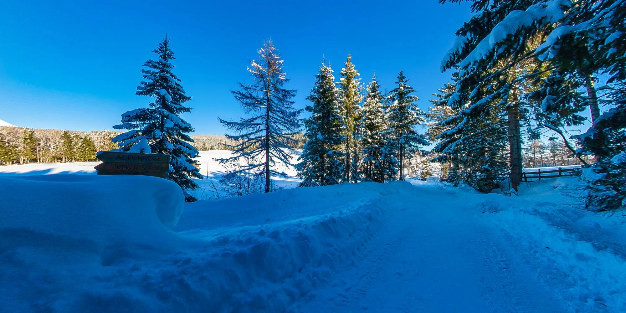 Authentisches Motiv aus Landschaft, Kultur oder Alltag in Südtirol — fotografiert von Marco Bonatta.