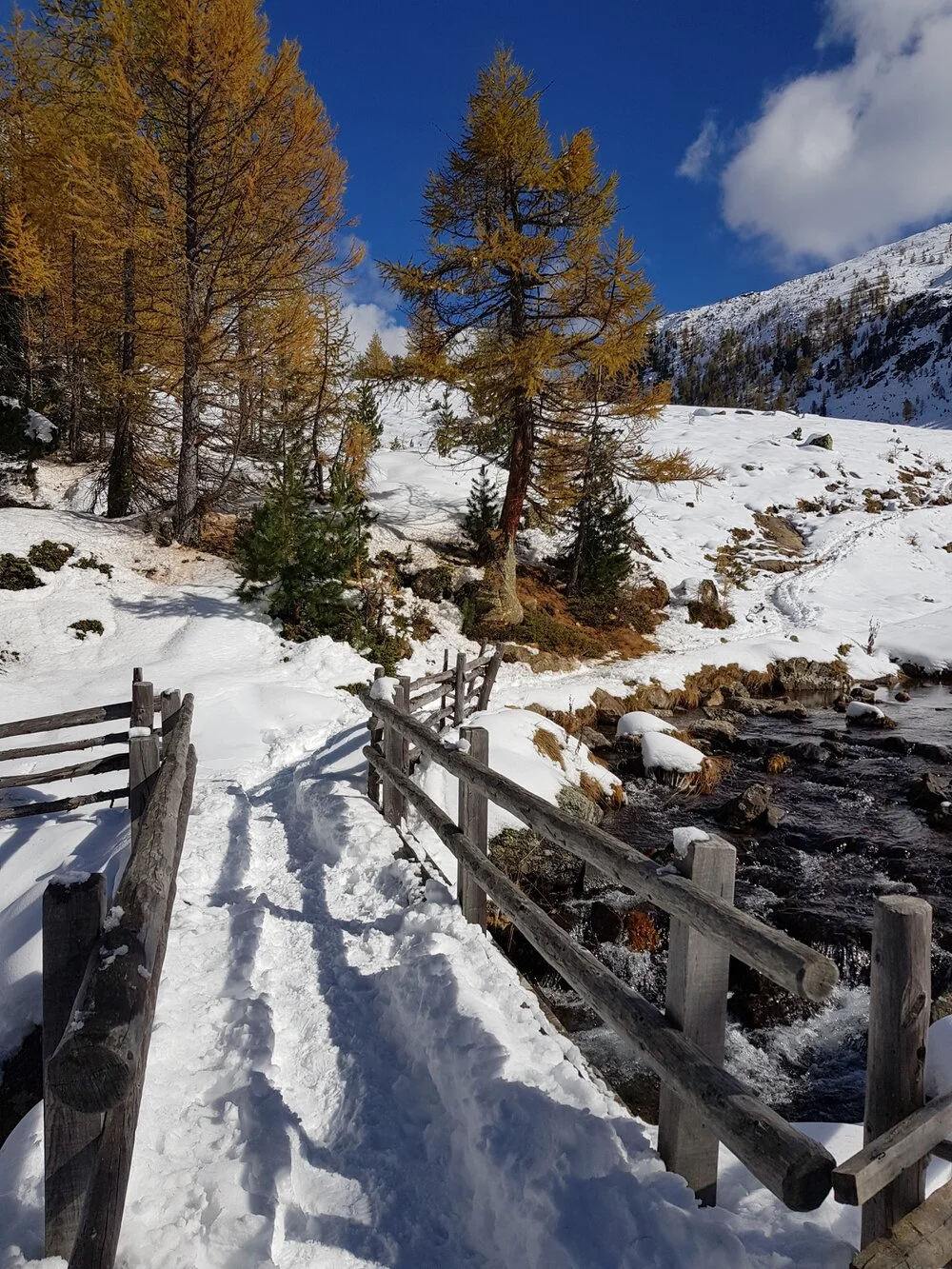 Authentisches Motiv aus Landschaft, Kultur oder Alltag in Südtirol — fotografiert von Marco Bonatta.