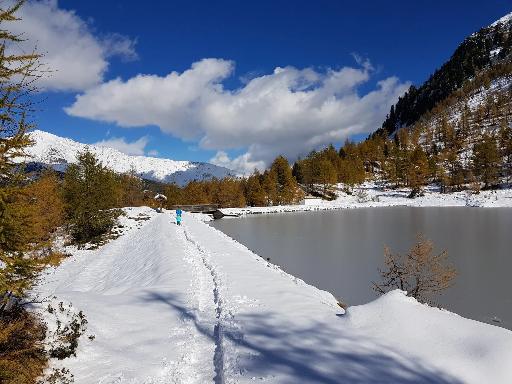 Authentisches Motiv aus Landschaft, Kultur oder Alltag in Südtirol — fotografiert von Marco Bonatta.