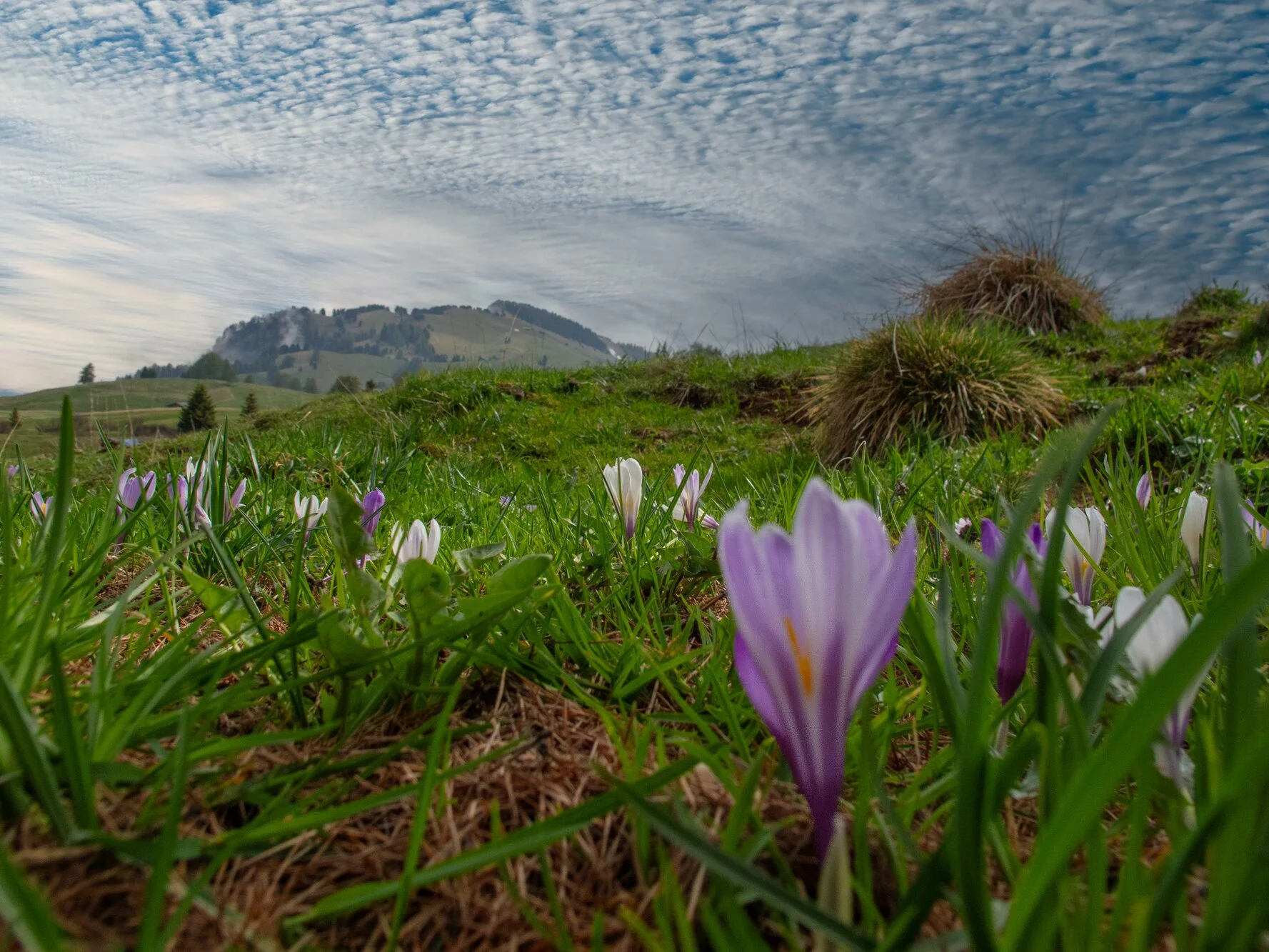 Authentisches Motiv aus Landschaft, Kultur oder Alltag in Südtirol — fotografiert von Marco Bonatta.