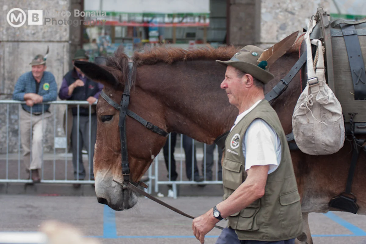 Authentische Veranstaltungs- und Reportagefotografie in Südtirol — fotografiert von Marco Bonatta.