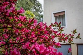 villa_Coris-1009.jpg
